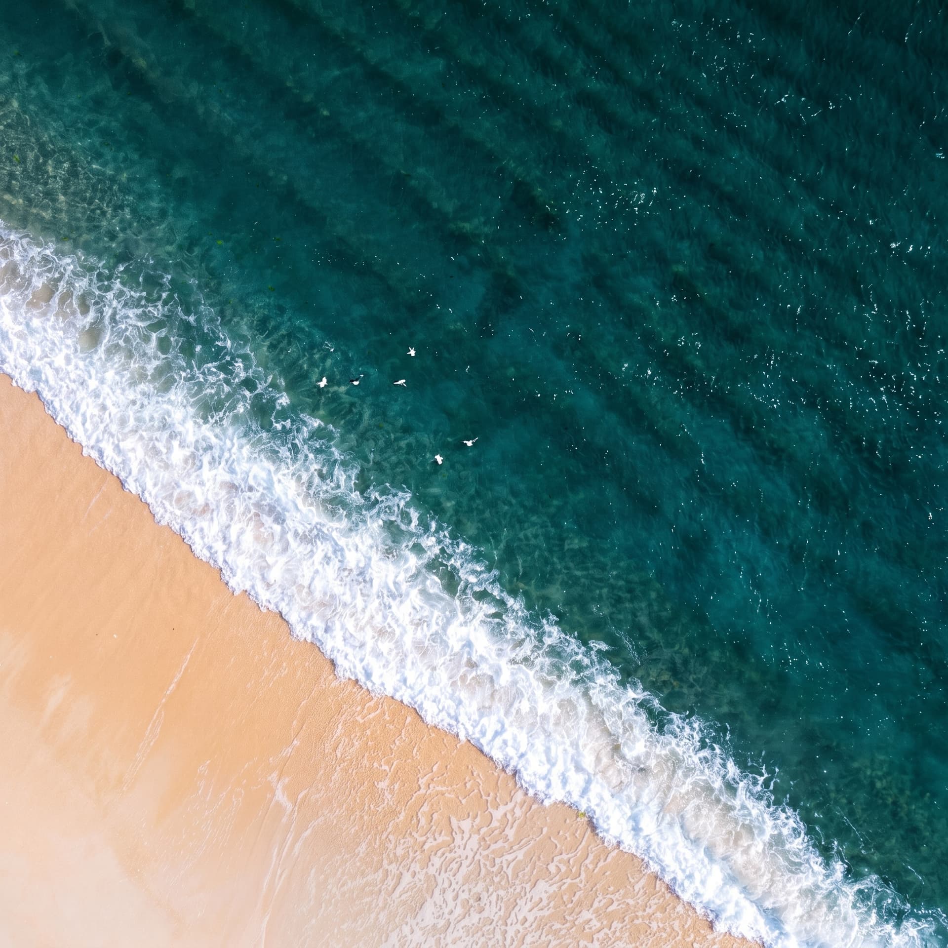 Ocean meeting the shore